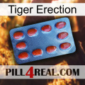 Tiger Erection 06